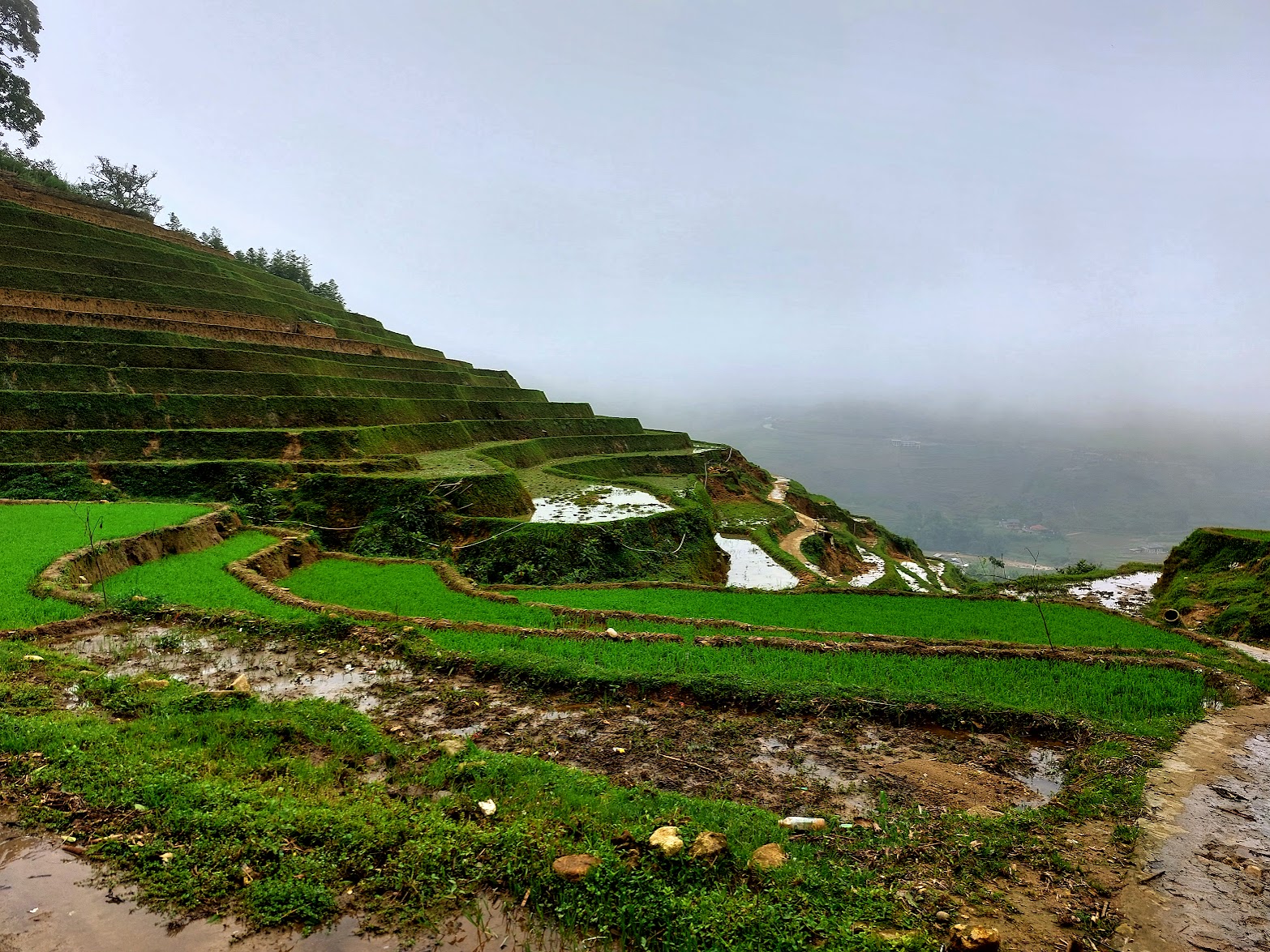 View from SaPa Trakking